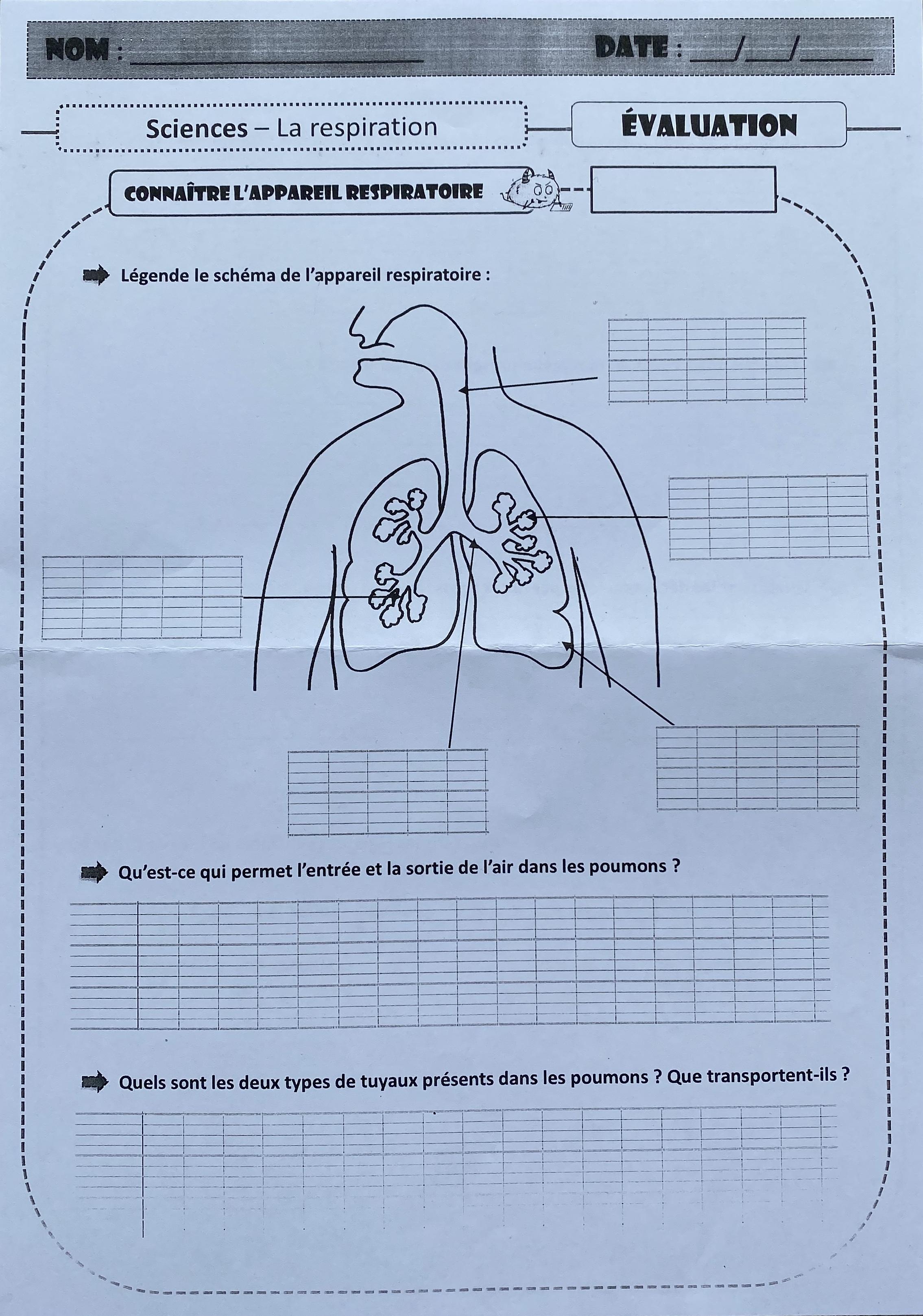 evaluation famille de mots ce2